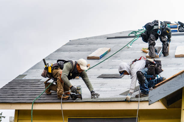 Professional Storm Damage Roof Repair technician working in Lehigh, IA
